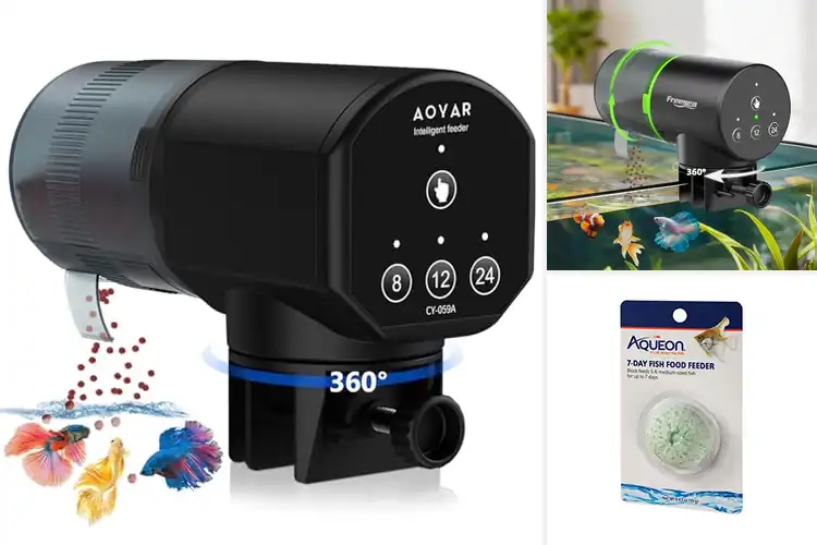 Detailed view of Best Aquarium Fish Food Feeders