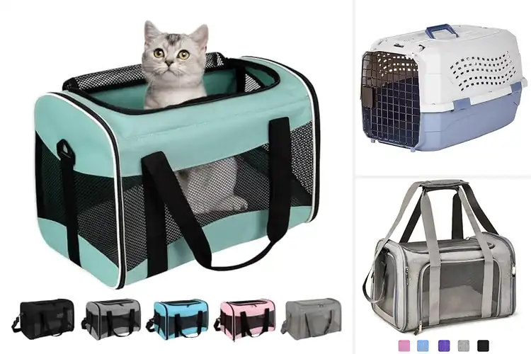 Detailed view of Best Cat Carriers: Top 10 Stress-Free Travel Solutions