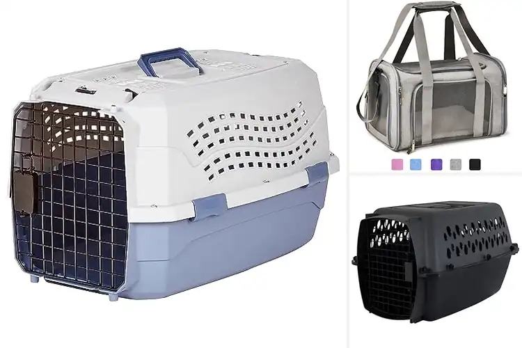 Detailed view of Best Dog Carriers: Top Picks for Safe & Comfy Adventures