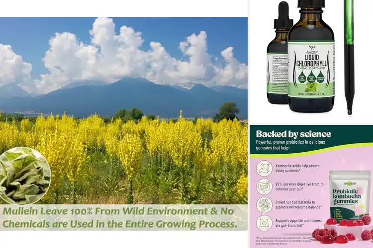 Detailed view of Best Health Benefits
