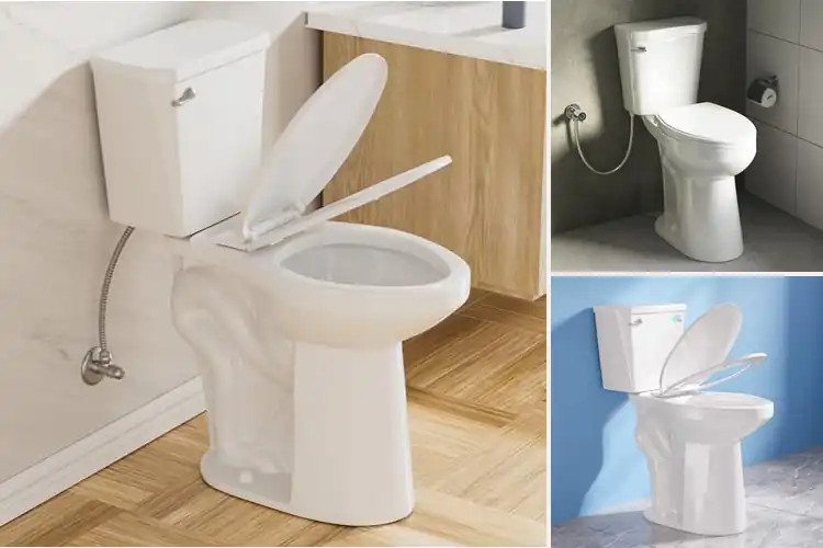 Detailed view of Best High Profile Toilet