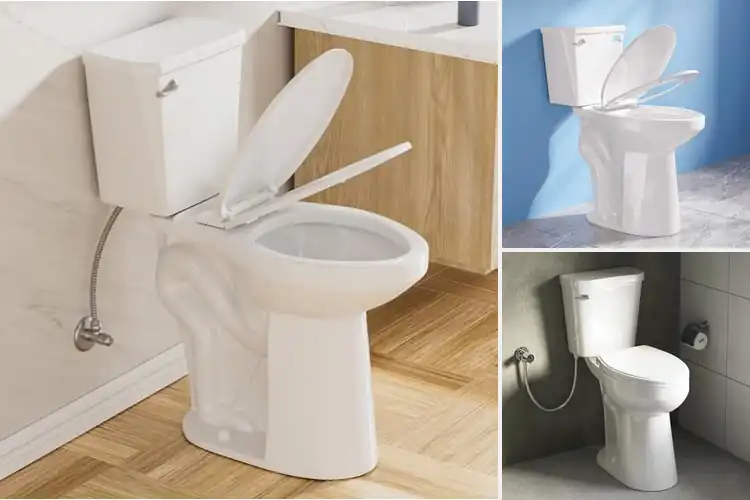 Detailed view of Best High Profile Toilets