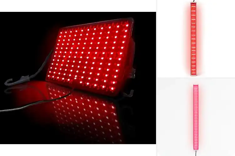 Detailed view of Best Light Therapy Infrared Sauna