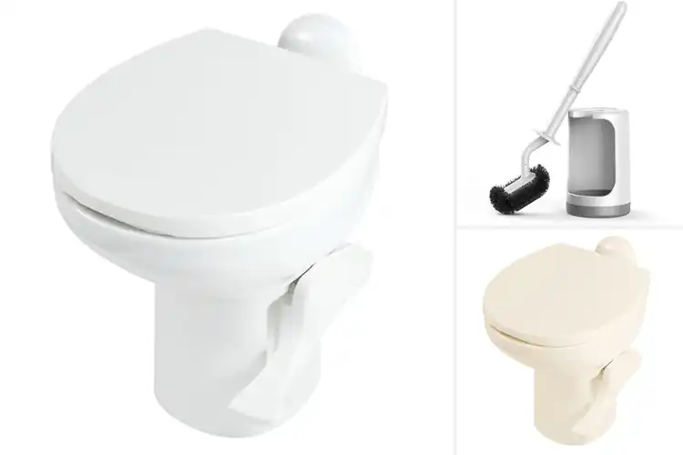 Detailed view of Best Lightweight RV Toilet Bowls