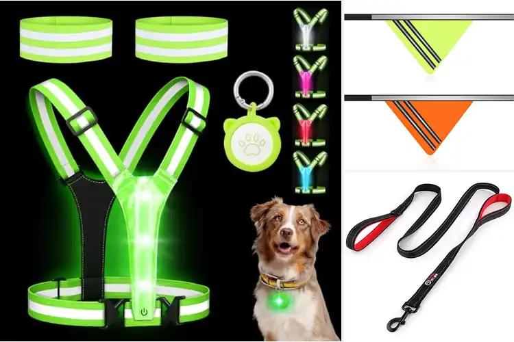 Detailed view of Best Pet Safety Gear
