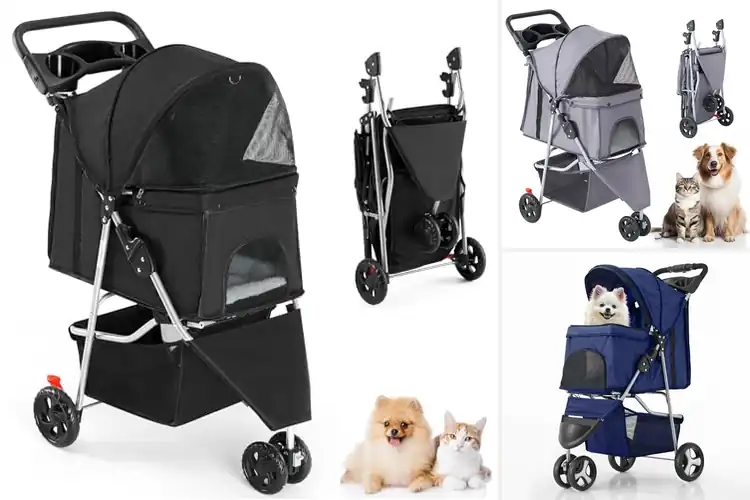 Detailed view of Best Pet Strollers: Top 10 Picks for Fun Outdoor Adventures
