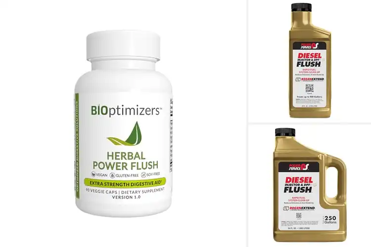 Detailed view of Best Powerful Flush