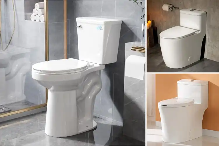 Detailed view of Best Toilet Bowls