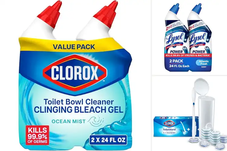 Detailed view of Best Toilet Cleaners: Fresh & Healthy Bathroom Solutions