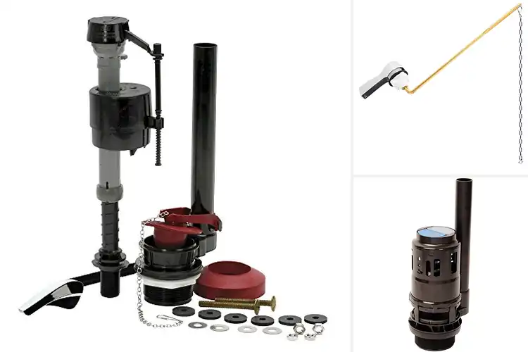 Detailed view of Best Toilet Flush Systems