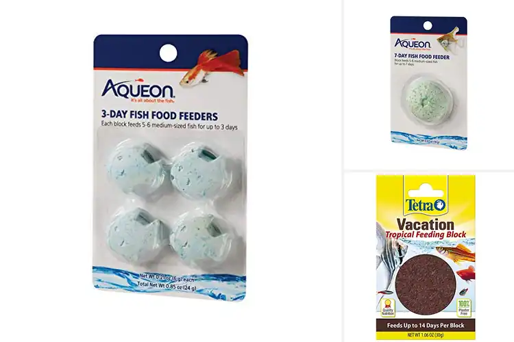 Detailed view of Best Vacation Fish Feeders